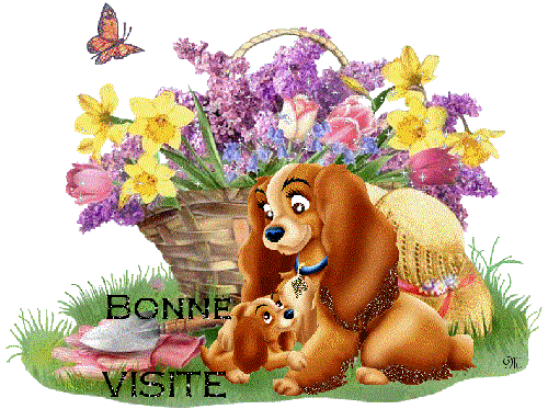 bonne visite